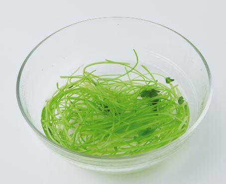 참나물무말이 물김치 1단계