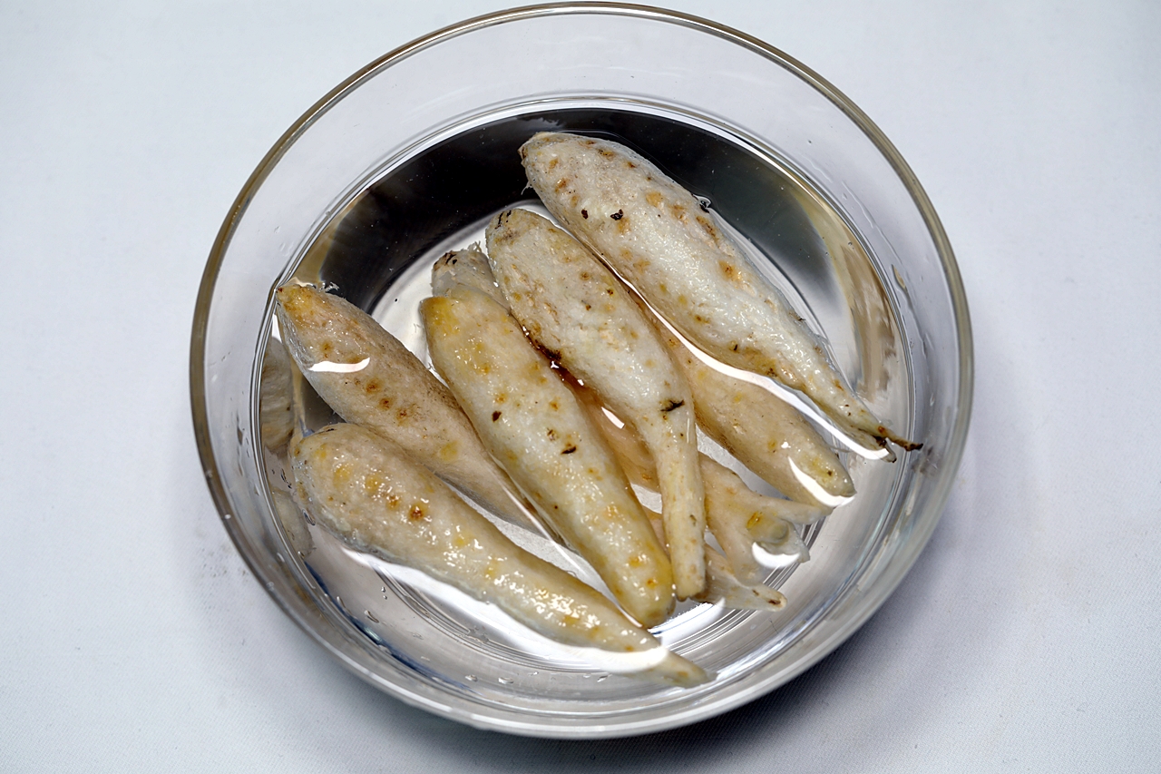 섭산삼 1단계
